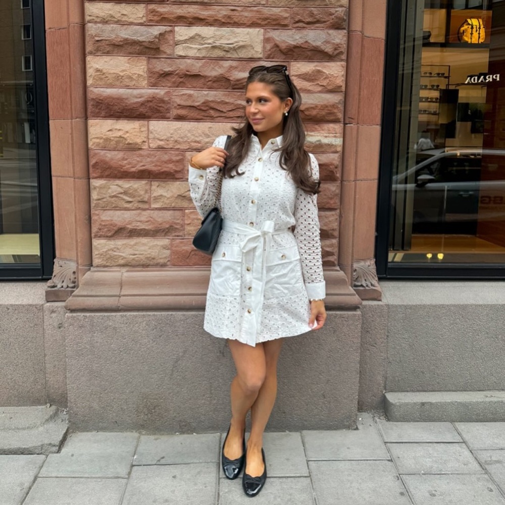 Zara Embroiled Mini Dress